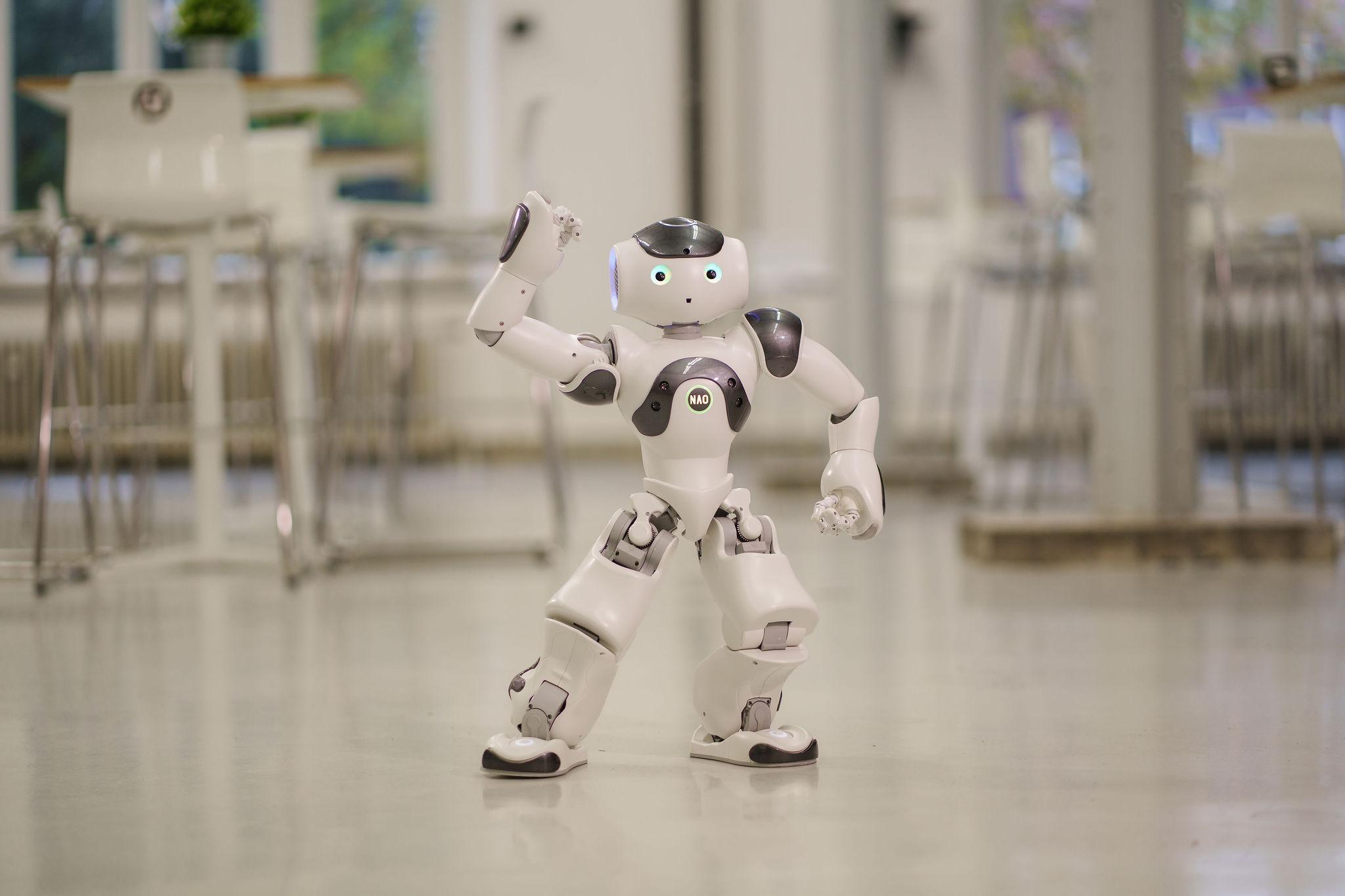 Innovative Robots in ​Daily Life: A Glimpse into the Future of Home Assistance